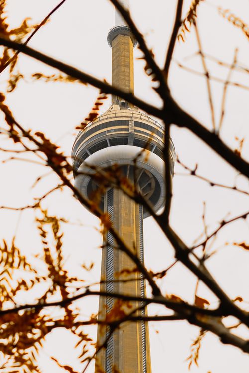 Free CN Tower seen through fall leaves in Toronto, capturing a unique urban landmark angle. Stock Photo