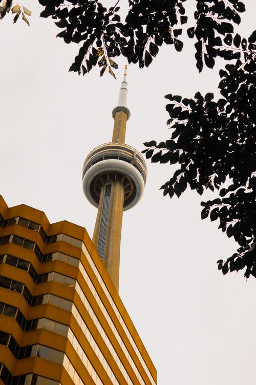 Free Low angle view of Toronto's CN Tower framed by leaves and urban architecture. Stock Photo