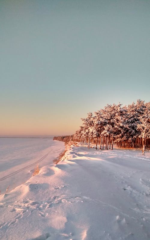 Бесплатное стоковое фото с вертикальный выстрел, живописный, зима