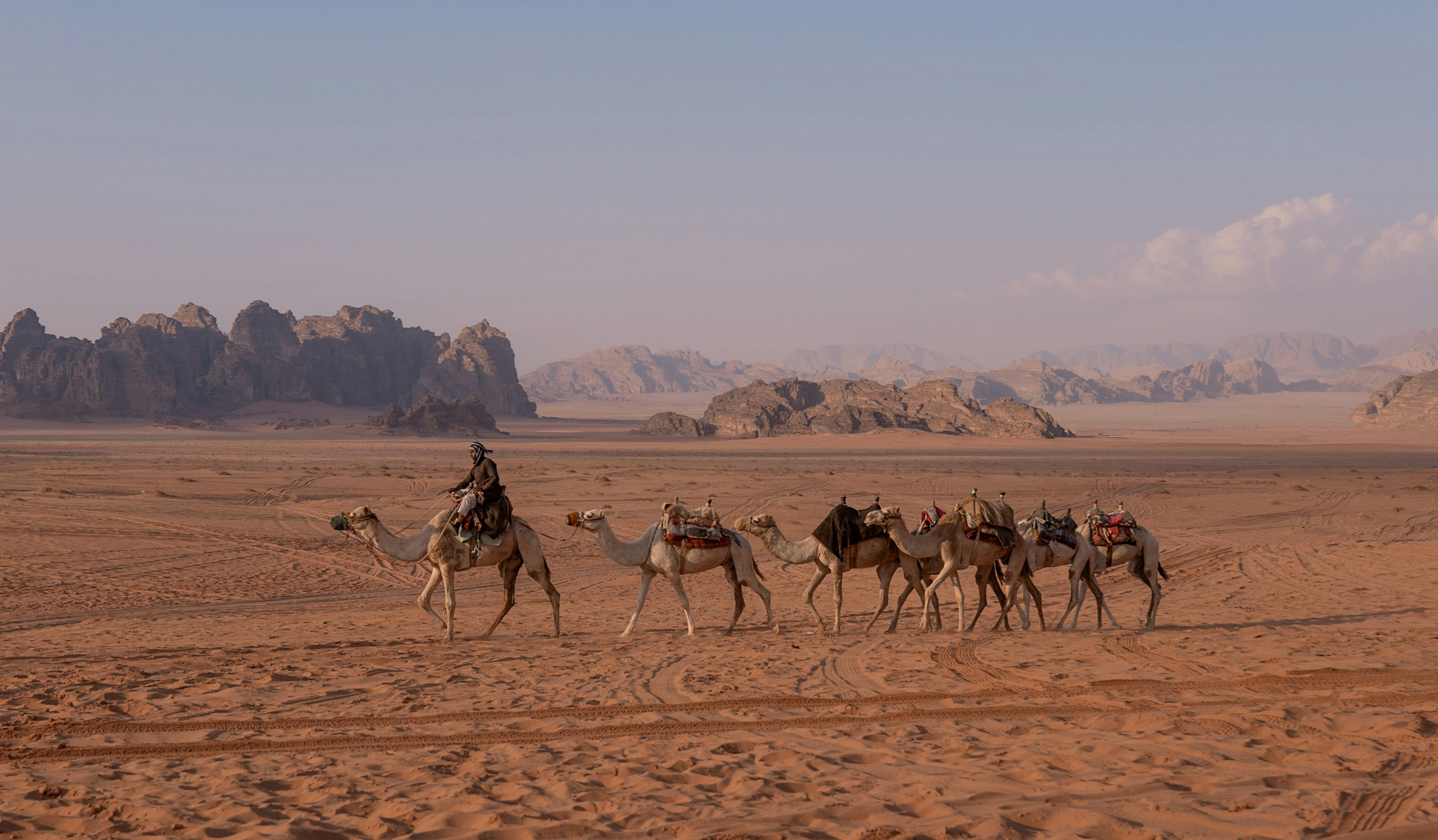 Man with Camels Carrying Baggage on a Desert · Free Stock Photo