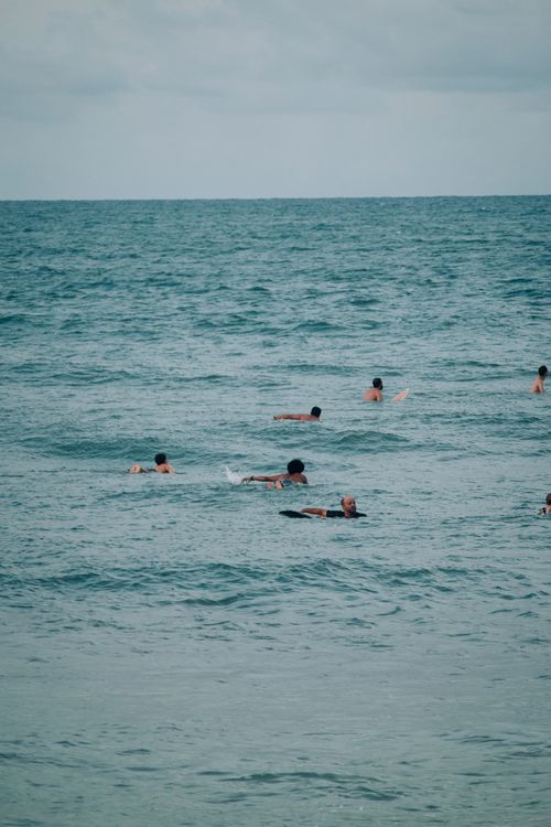 Free Surfers paddling in the peaceful ocean on surfboards, enjoying water sport in a serene seascape. Stock Photo