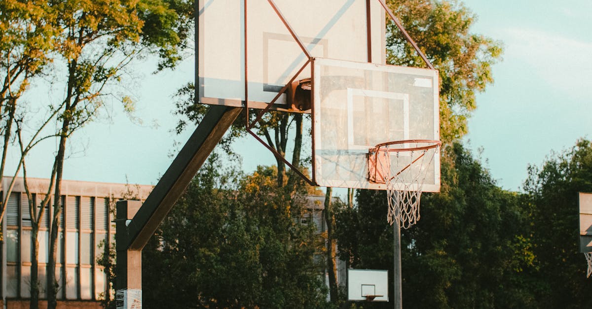 世壯運定向越野無交通管制 符合國際賽事規範 執委會籲切勿誤導視聽