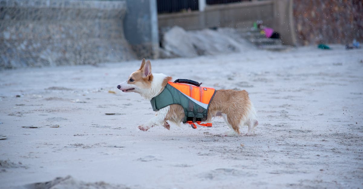 กรมอุตุฯ เตือนรับมือพายุฤดูร้อน กลางสัปดาห์หน้า กทม. ฝนฟ้าคะนอง 40%