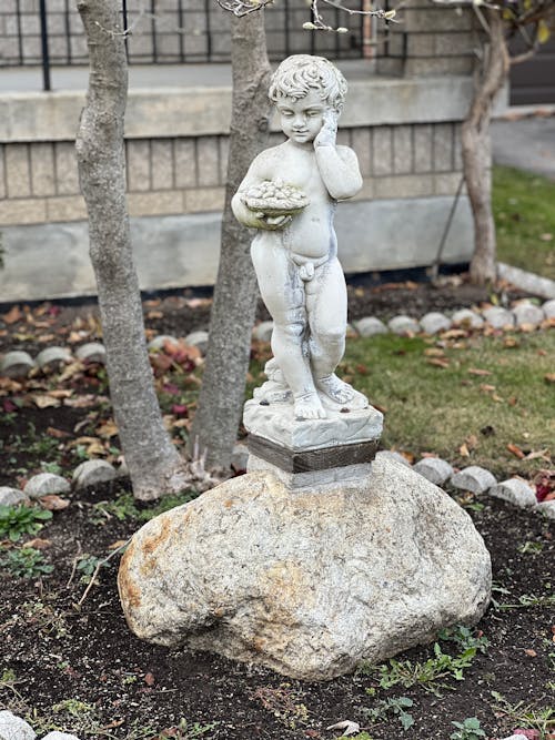 Fotobanka s bezplatnými fotkami na tému chlapec, dekoratívny, kameň