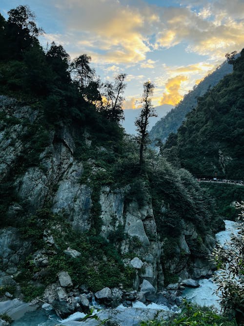 Photos gratuites de crépuscule, fleuve, forêt