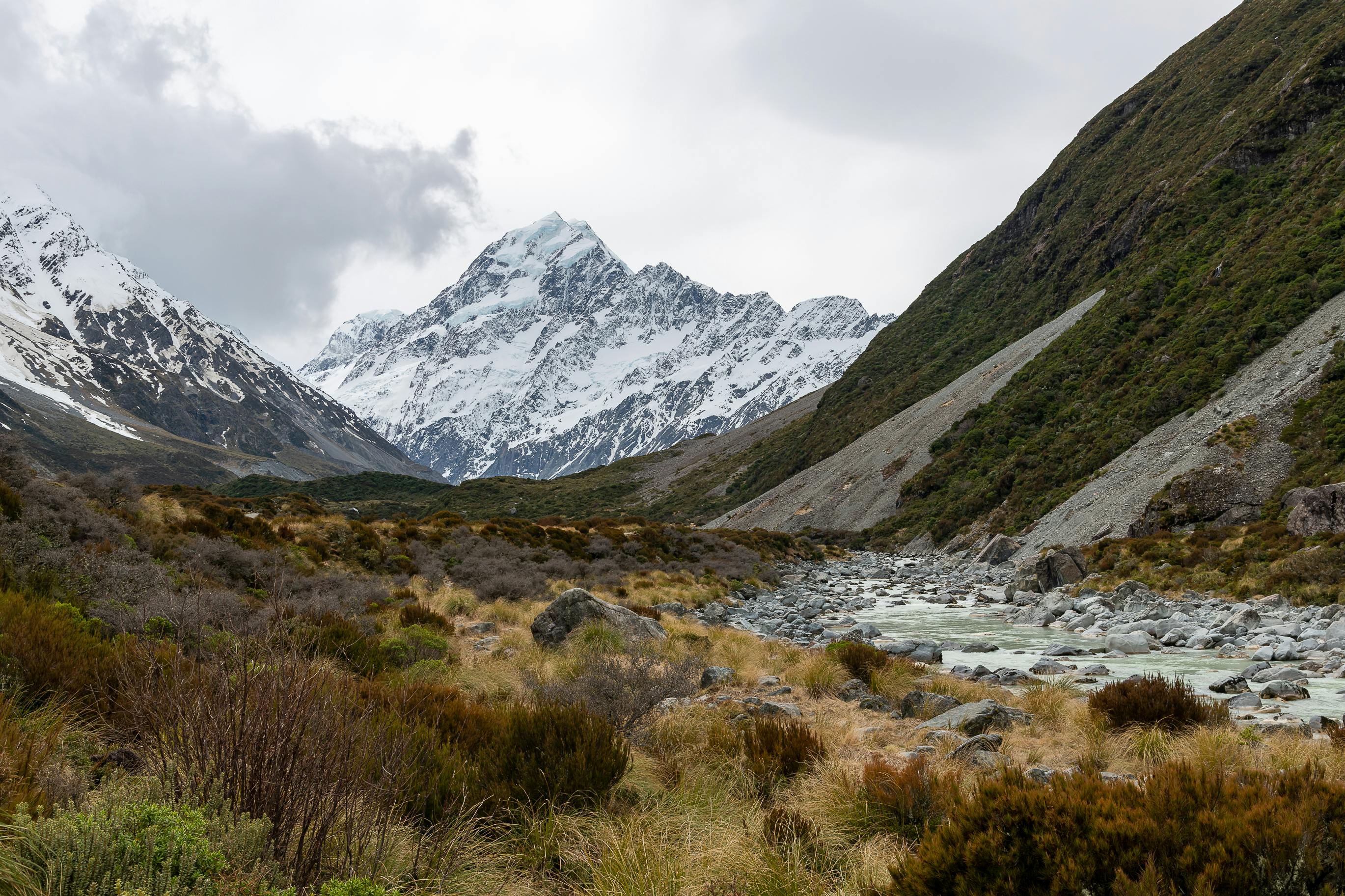 Saffron Rice Pudding