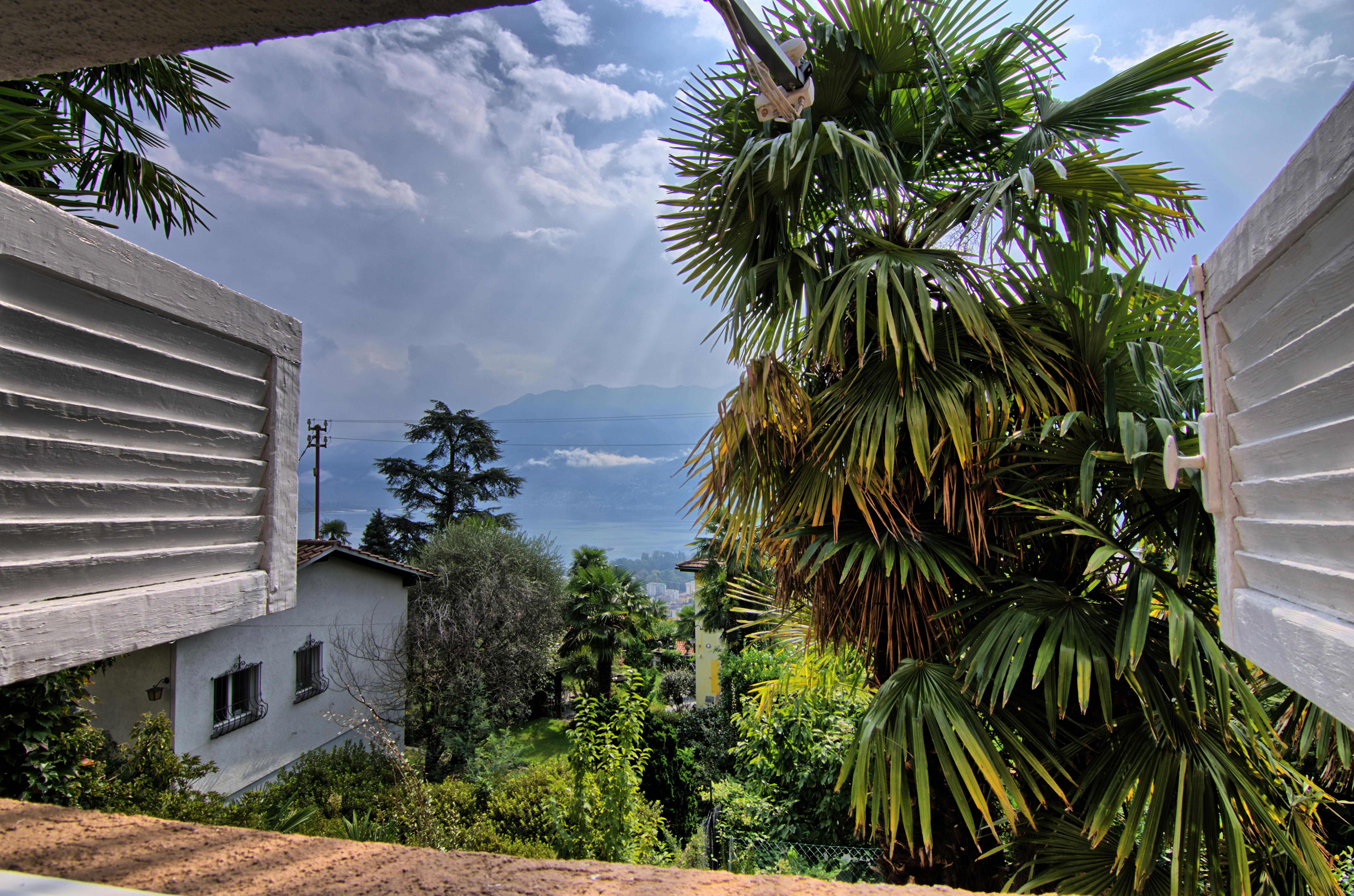 Explore the Flower Clock