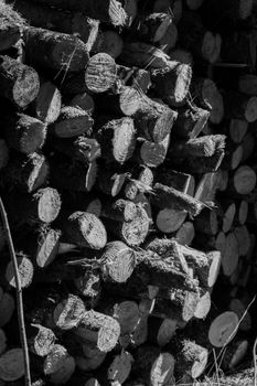 Monochrome close-up of a stacked firewood pile showcasing texture and patterns.