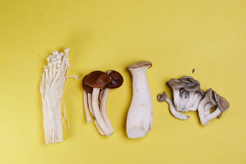 Mushrooms on Yellow Background