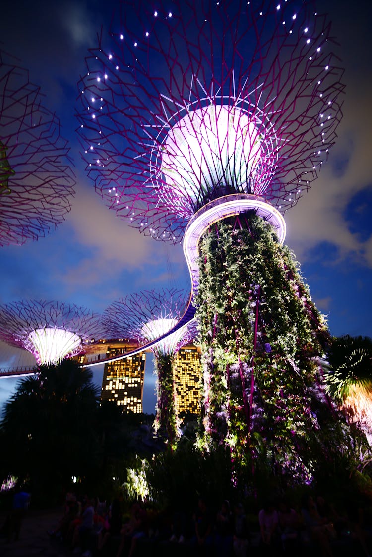 Light Installation On Trees In Garden At Night