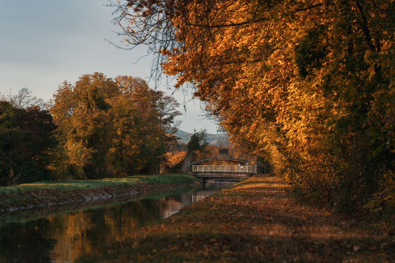 Wiener Neustadt
