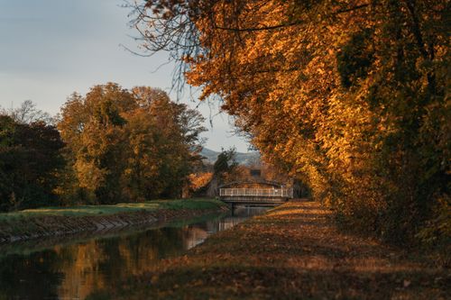 Wiener Neustadt