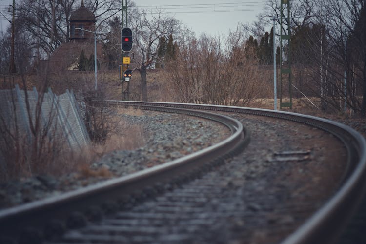 Photo Bare Trees Near A Railway