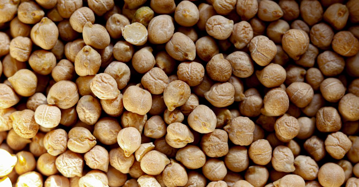 High-resolution close-up of dry chickpeas, perfect for culinary recipes and healthy eating visuals. - Evidence evidence guide for fiber cholesterol randomized trial