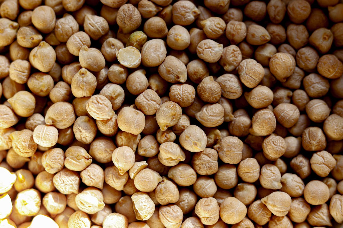 Plenty of Garbanzo Beans