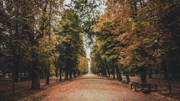 Cluj Napoca, Romania photo 8