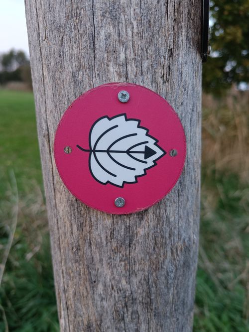 Free Signpost  Stock Photo