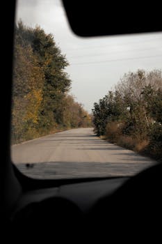 View from car interior to a serene countryside road lined with autumn trees.