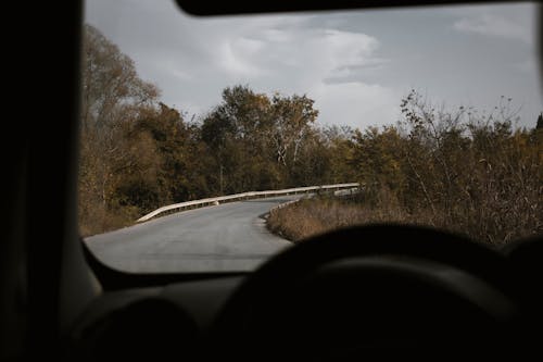 View of a Person Driving a Car 