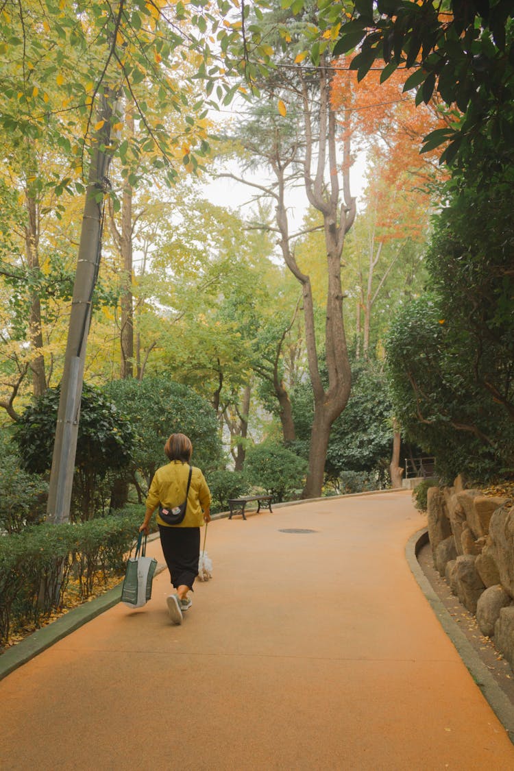 Woman Walking Dog In Park