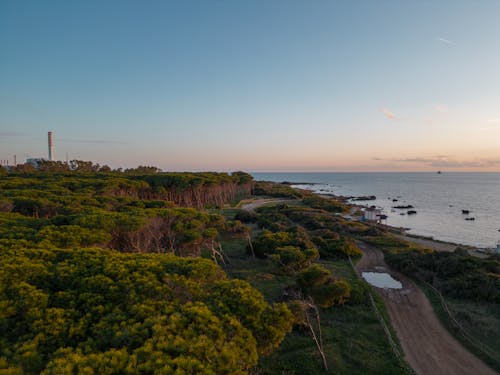 Gratis stockfoto met avondlucht, blikveld, bomen