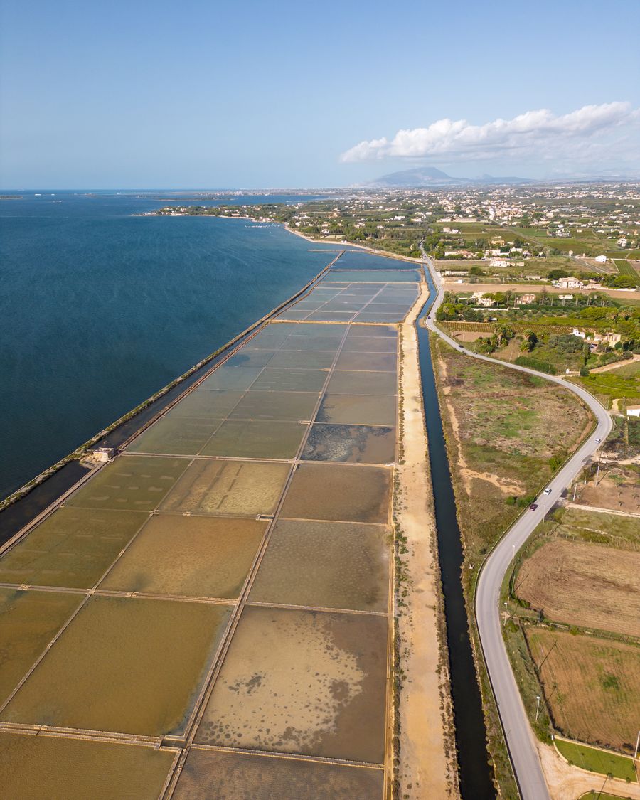Rectangular salt pans in shades of green and ochre running along the coast beside a canal and a road