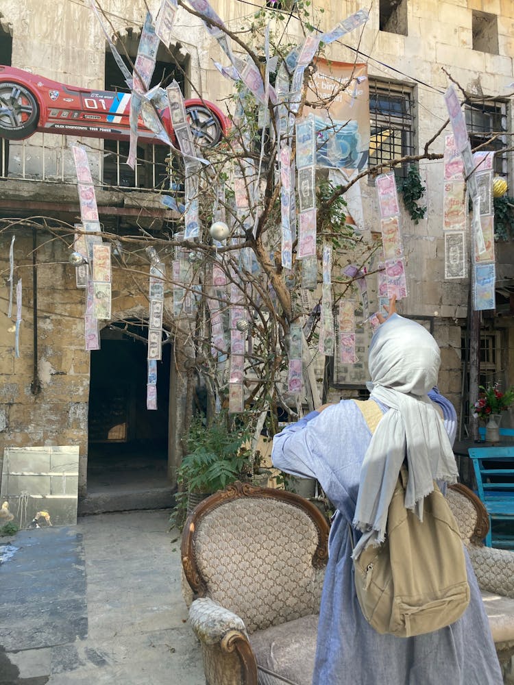 Woman Looking At A Tree With Money Bills 