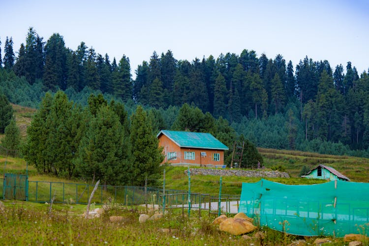 House In Countryside Near Forest