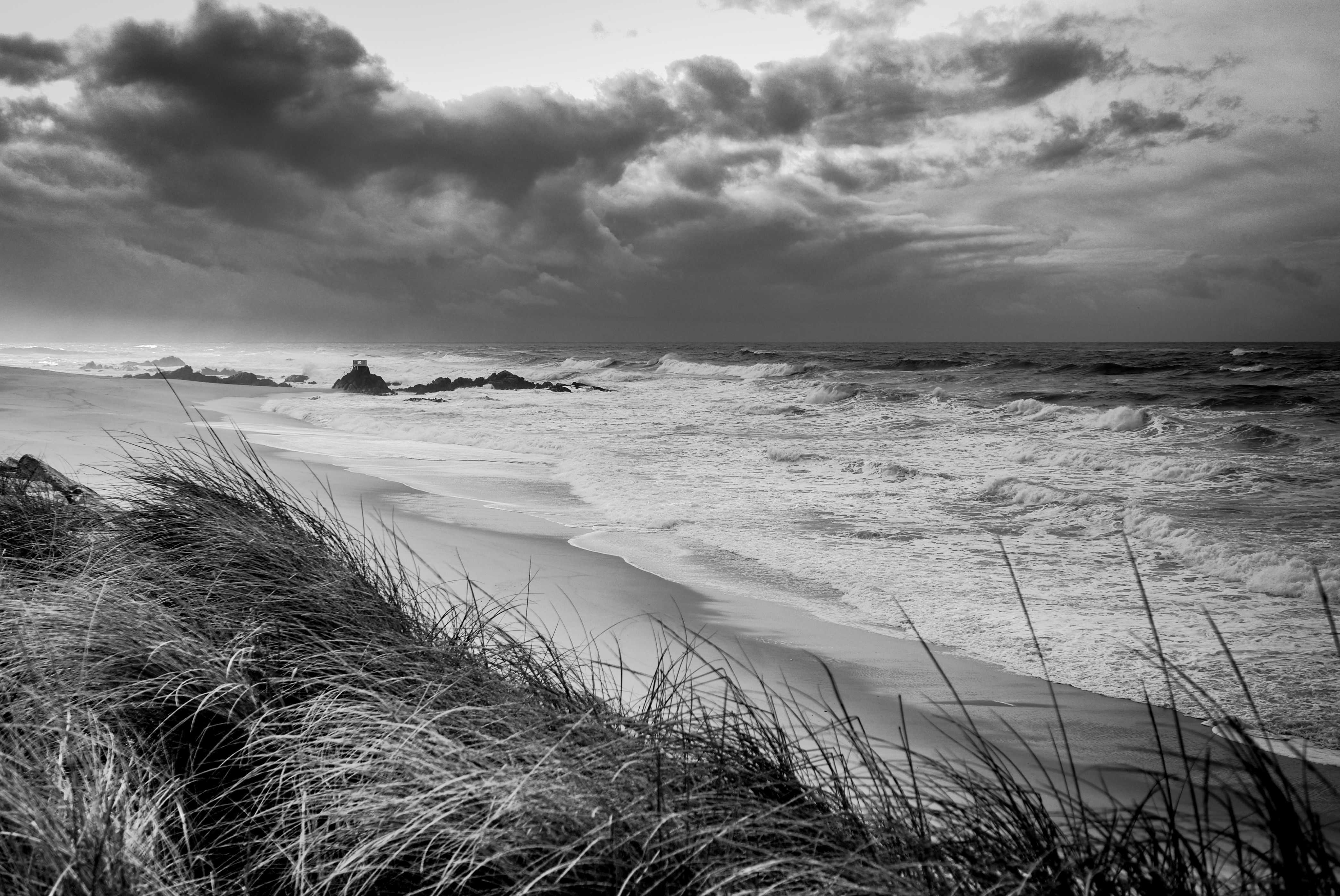 Black and White Photo of Sea and Beach · Free Stock Photo
