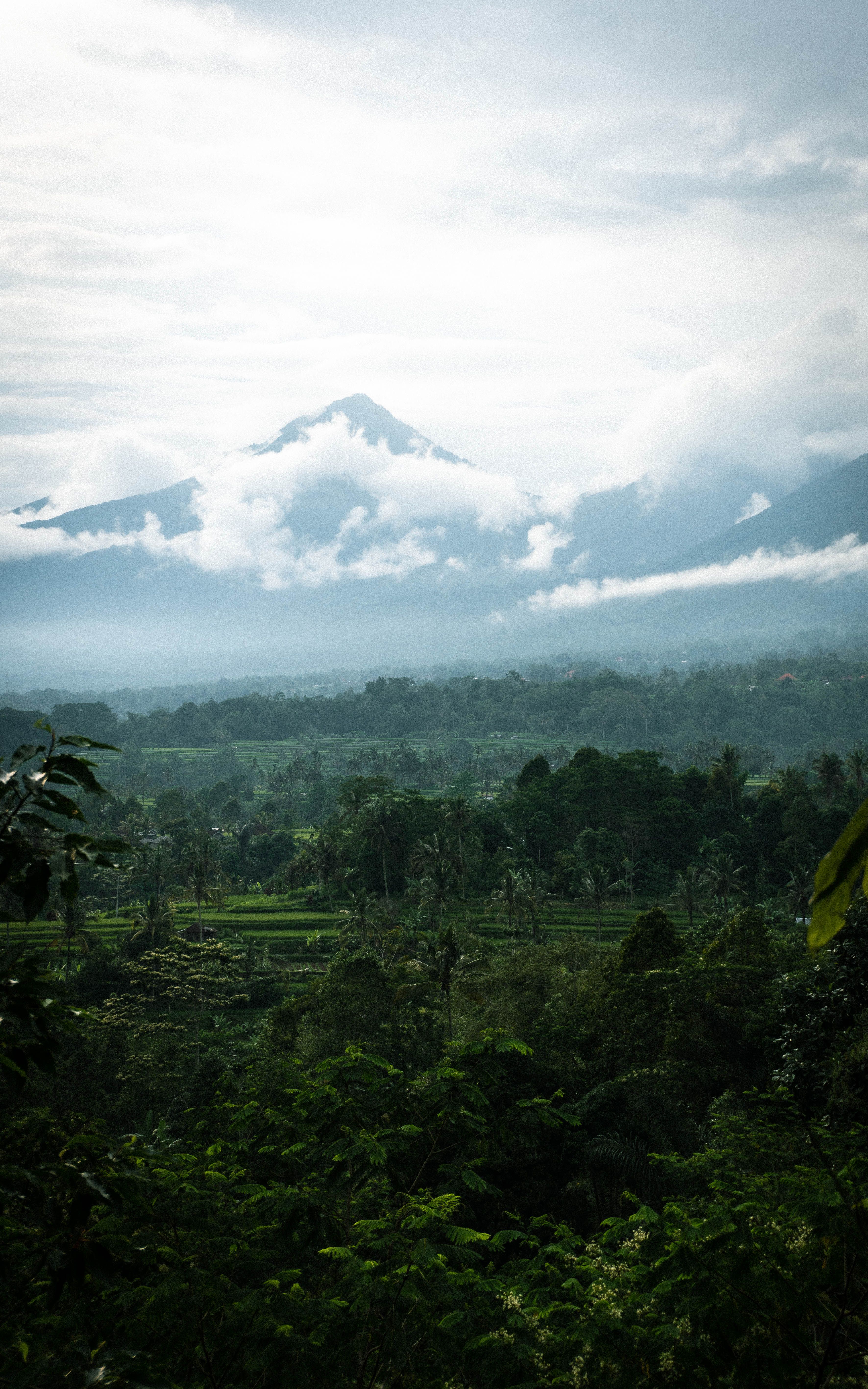 Green Trees and Mountains Under the White Clouds · Free Stock Photo