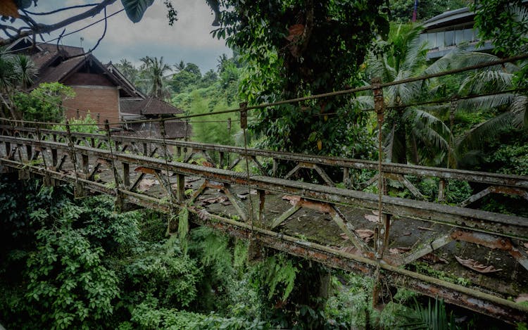 Old Wooden Bridge In Ubud, Bali, Indonesia 