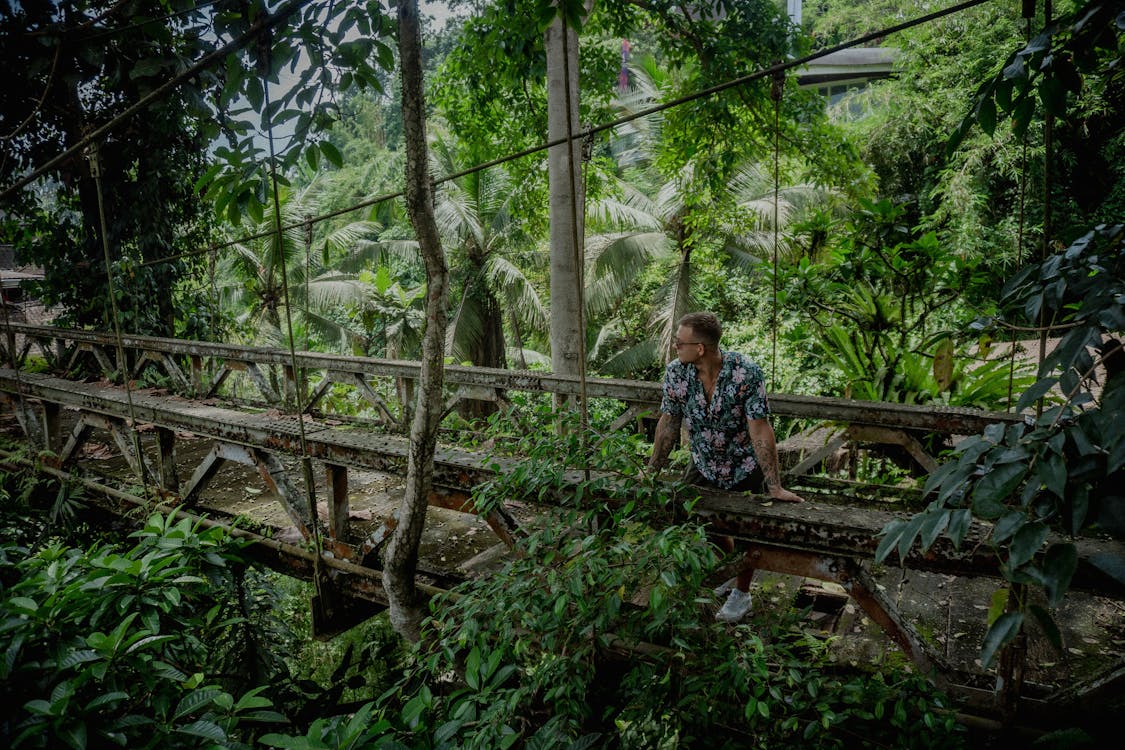 Foto stok gratis alam, Bali, hutan