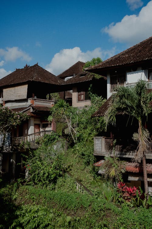 Plants and Trees around Village Houses