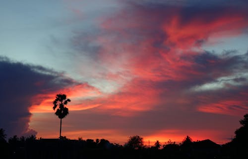 Free stock photo of red cloud