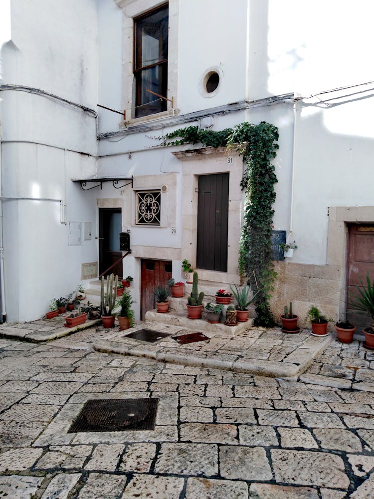 Plants Near Building Door