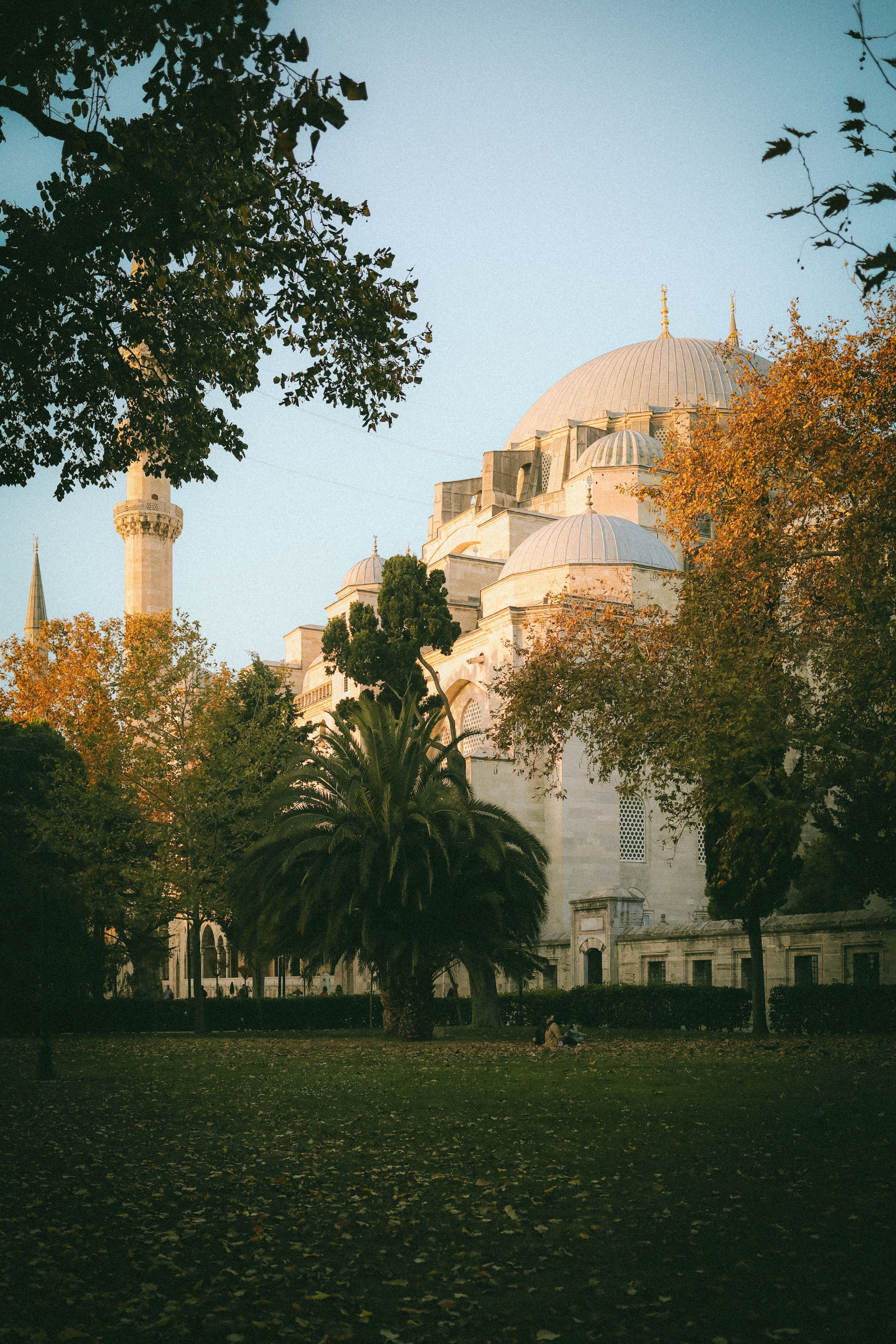 Suleymaniye Mosque in Autumn · Free Stock Photo