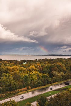 郁郁葱葱的绿叶与水面上充满活力的彩虹，捕捉到了大自然的美丽