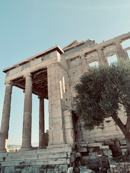 Free Vertical shot of the ancient Acropolis temple with columns and olive tree in Athens, Greece. Stock Photo