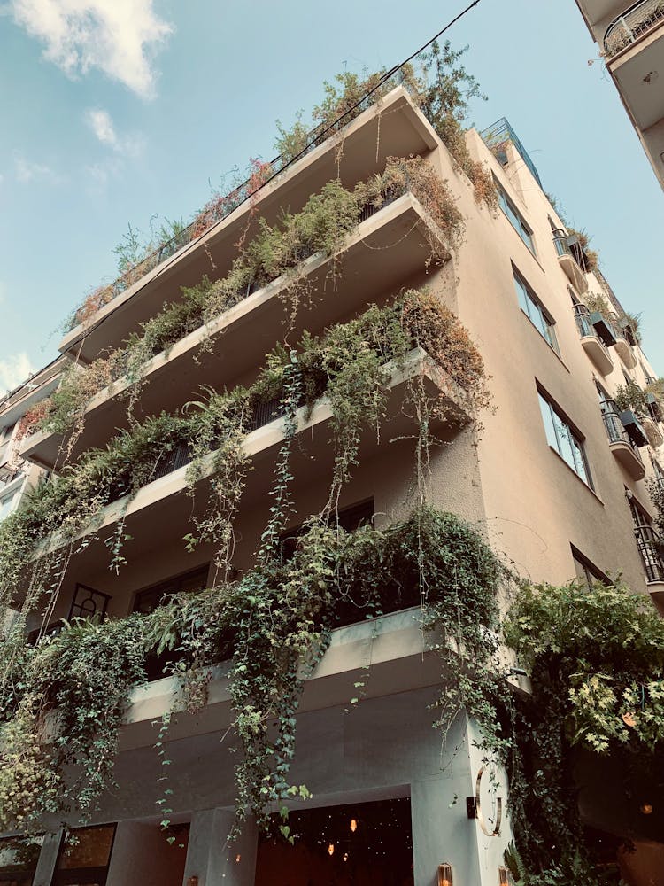 Vegetation On Balconies