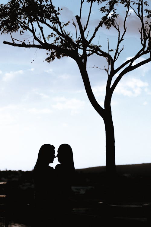 Imagine de stoc gratuită din atmosfera de dragoste, cuplu, cuplu adorabil