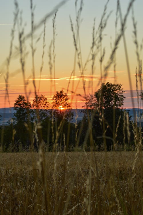 Sun Setting over Landscape