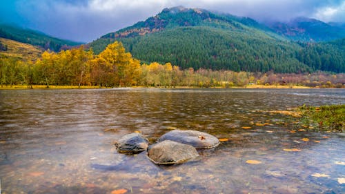 River in Mountains in Autumn