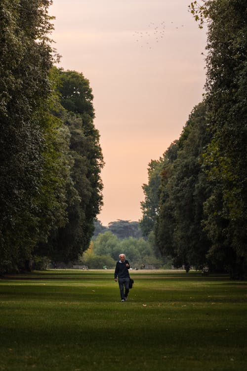 A Person Walking on the Grass 