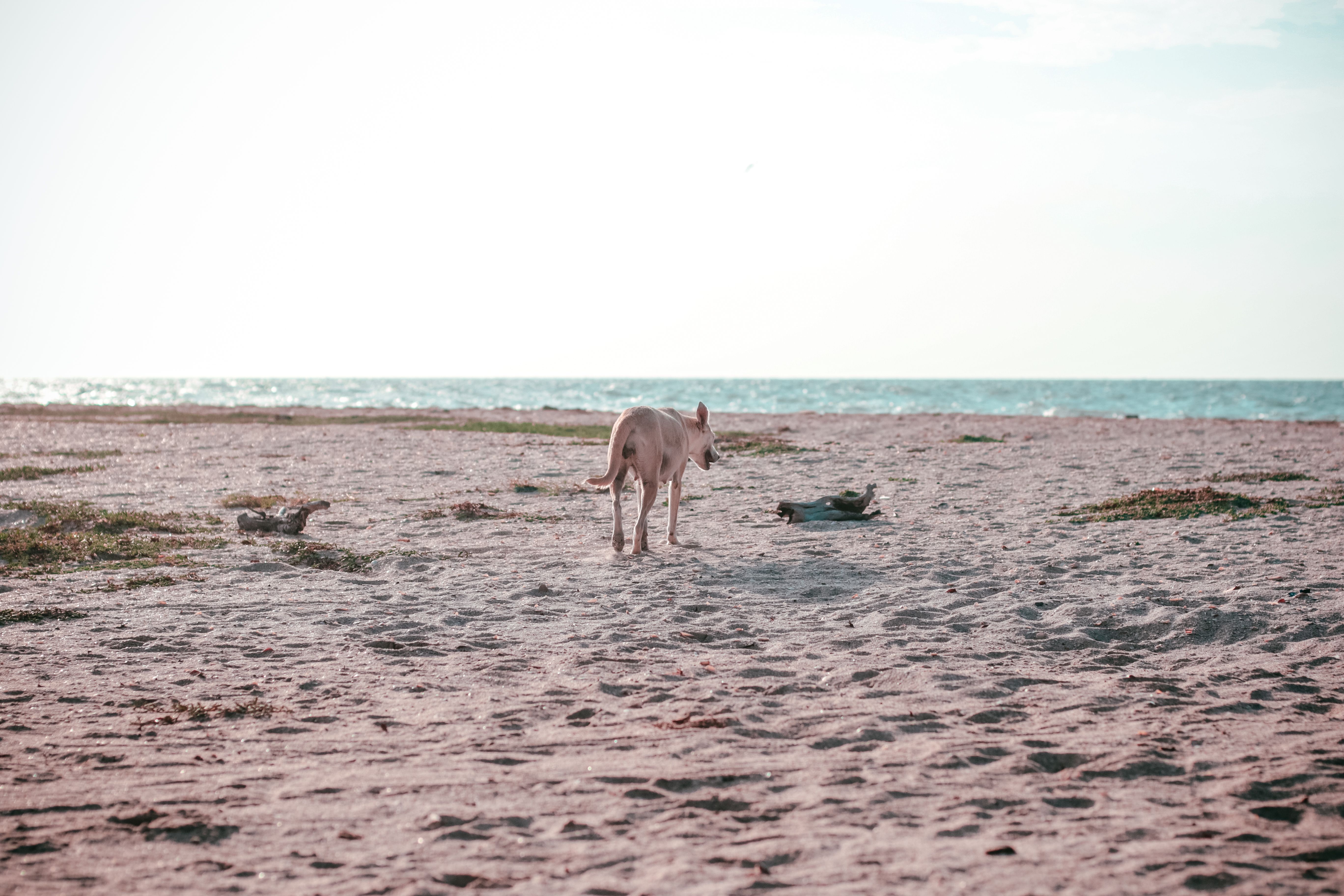 Free Things To Do in Carriacou — Carriacou travel guide photo