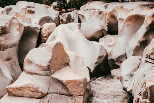 Immagine gratuita di acqua, alba, arenaria