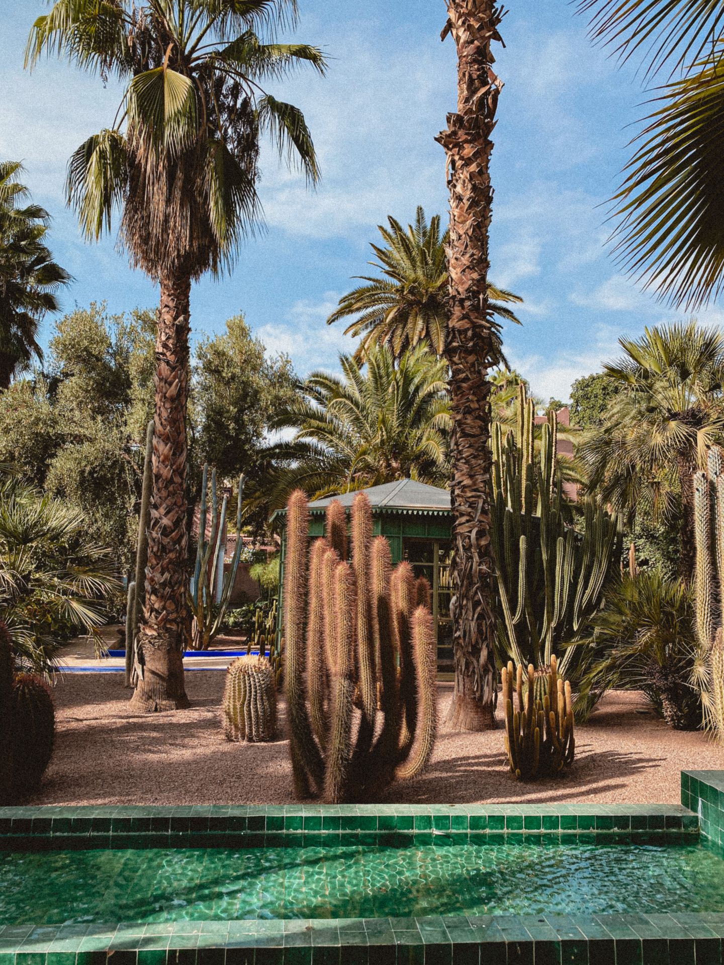 dry exotic garden design