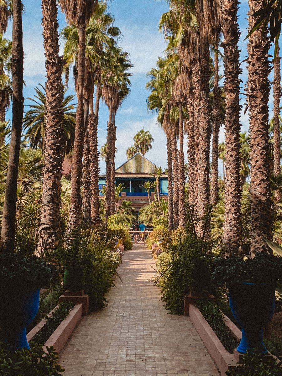 Palmeraie de Marrakech