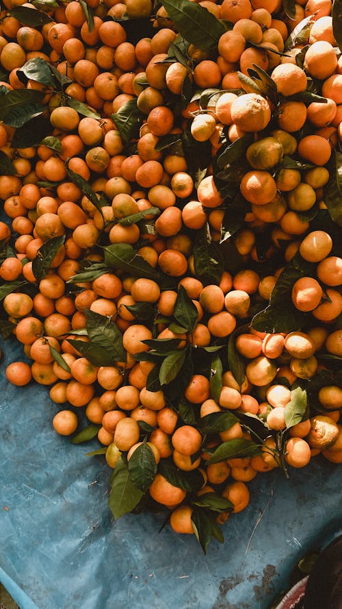 An Abundance of Orange Fruits on Blue Surface