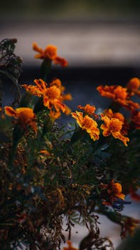 Image by vaphotography .gr