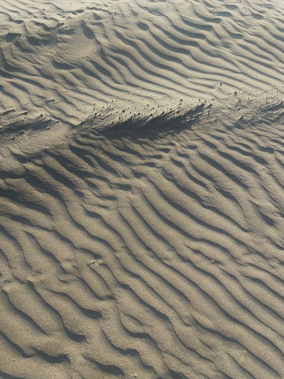 Pattern on Sand · Free Stock Photo